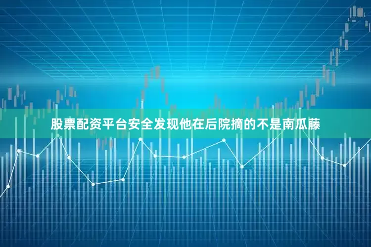 股票配资平台安全发现他在后院摘的不是南瓜藤