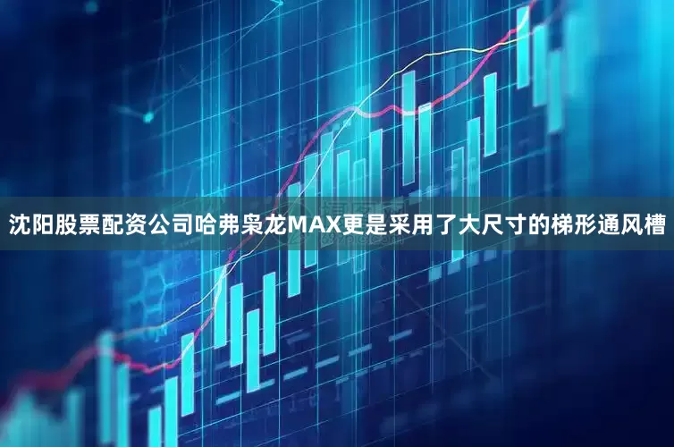 沈阳股票配资公司哈弗枭龙MAX更是采用了大尺寸的梯形通风槽