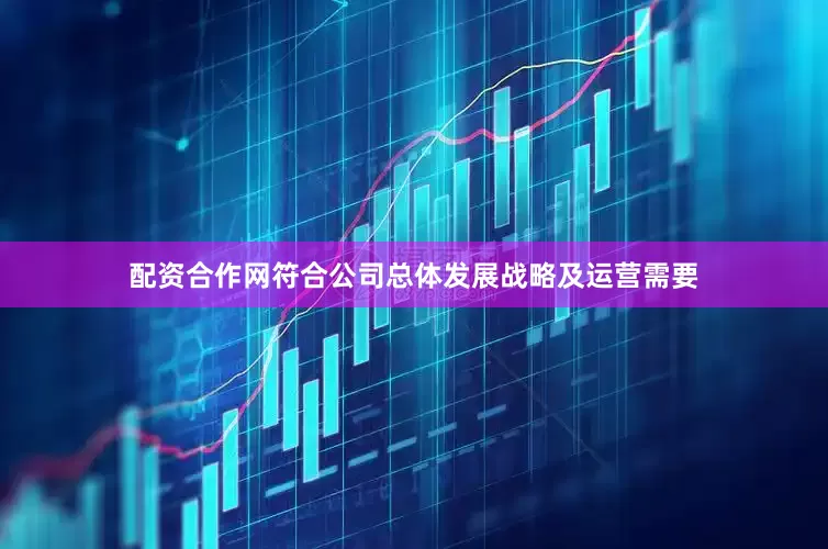 配资合作网符合公司总体发展战略及运营需要